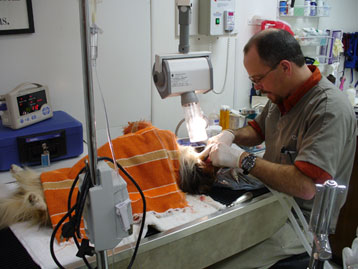 services_dentistry