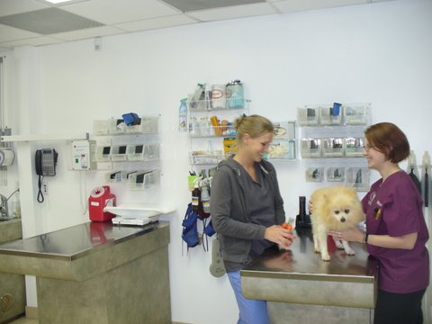 services_hospitalized
