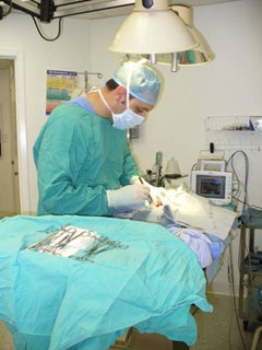 services_surgery
