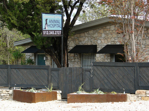 spicewoodanimalhospital spicewoodanimalhospital
