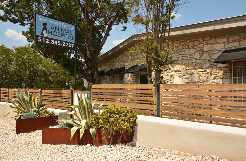 Spicewood Springs Animal Hospital front entrance and signage