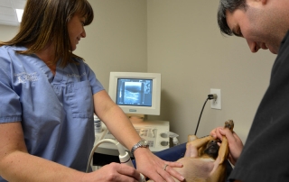 spicewood-springs-animal-013-interior-017