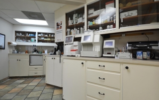 spicewood-springs-animal-015-interior-021