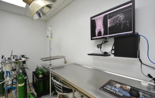 spicewood-springs-animal-020-interior-034