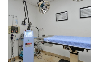 spicewood-springs-animal-022-interior-037