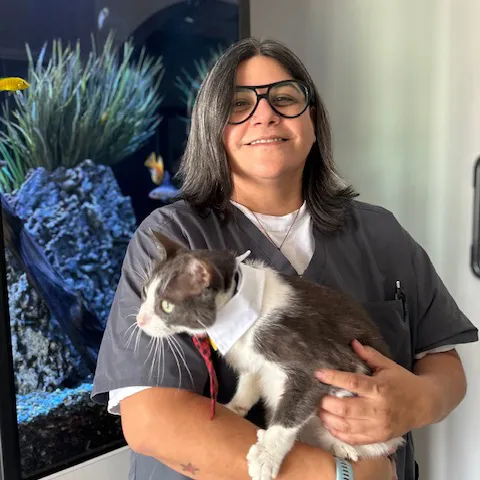 inez spicewood animal hospital